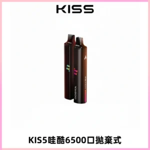 KIS5WAGOO哇酷6500口拋棄式 | 自由混搭雙口味 | 雙芯組合
